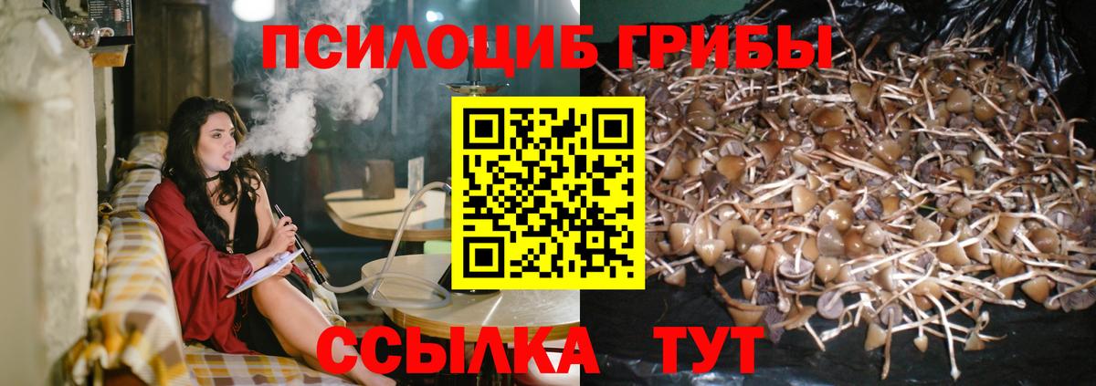 Псилоцибиновые грибы MAGIC MUSHROOMS  наркотики  Звенигород  Вход с VPN 