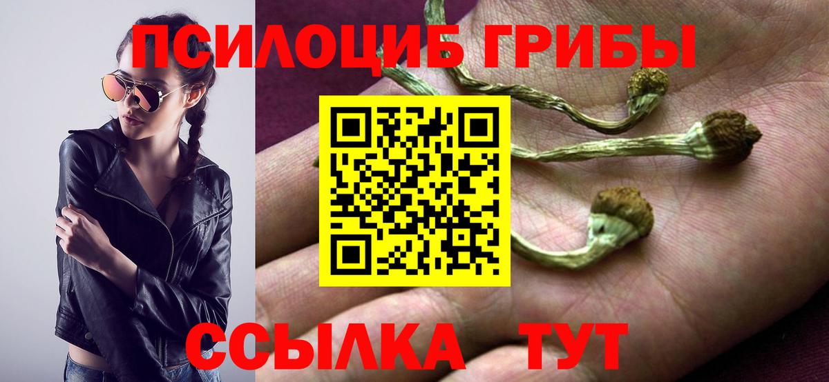 Псилоцибиновые грибы мицелий Звенигород